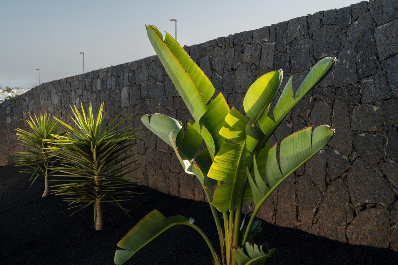 Villas Altos De Lanzarote Playa Blanca  Eksteriør bilde
